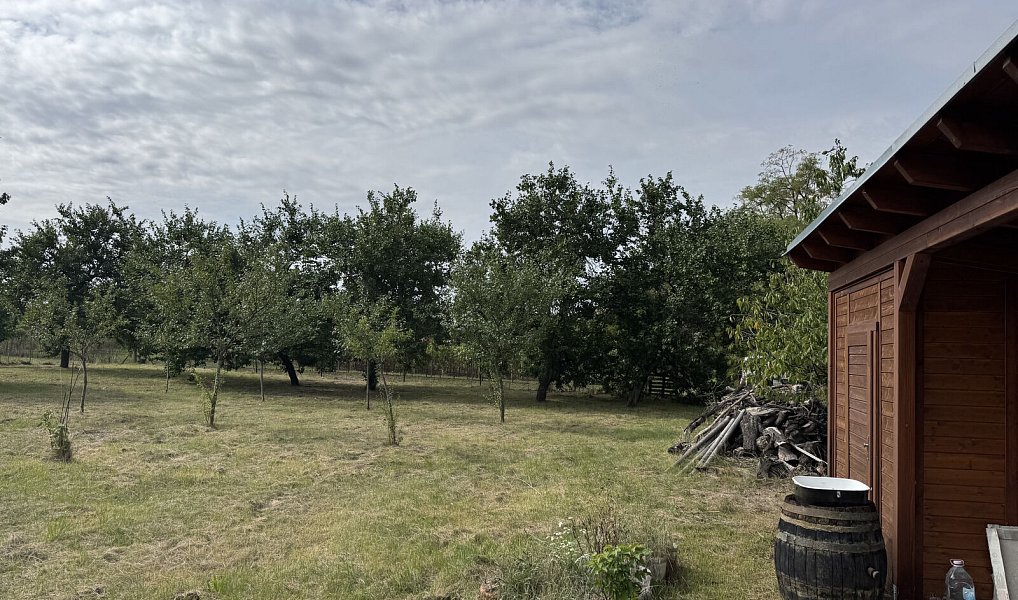 Prodej zahrady 1 171 m², Valtice – náhled fotky 14