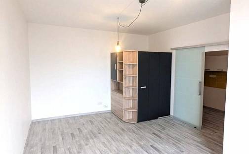 Pronájem bytu 1+1 34 m², Stroupežnického, Ústí nad Labem - Ústí nad Labem-centrum