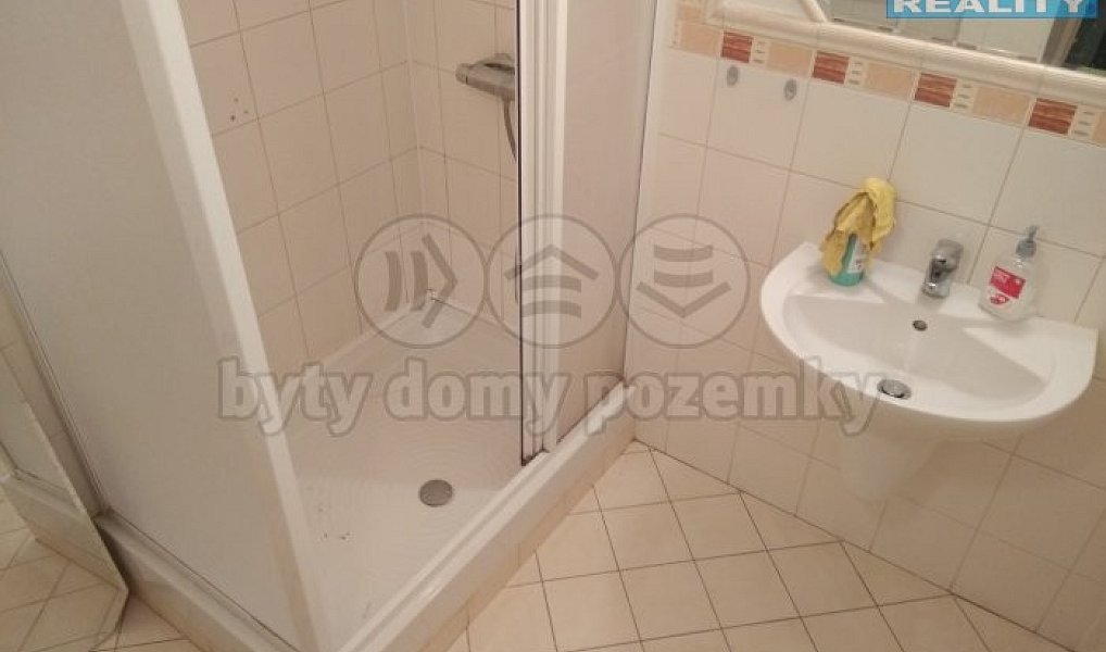 Prodej domu 342 m² s pozemkem 2 528 m², Hlízov – náhled fotky 9