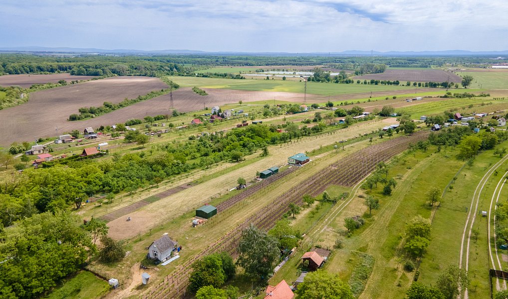 Prodej zahrady 433 m², Břeclav – náhled fotky 4