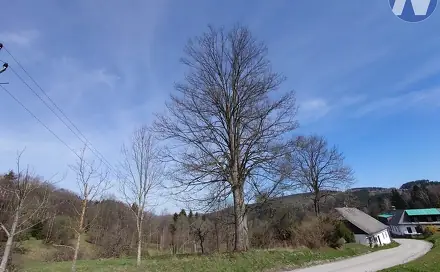 Prodej stavebního pozemku 3 652 m², Záblatí, okres Prachatice