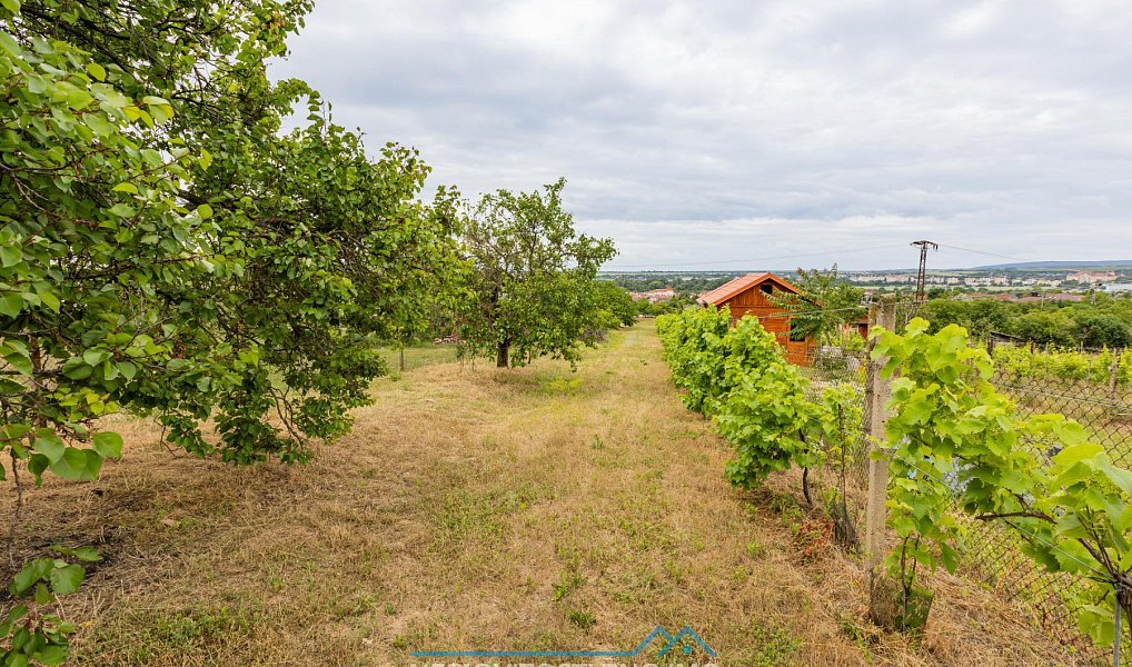 Prodej zahrady 1 078 m², Dobšice – náhled fotky 10