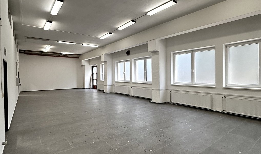 Pronájem skladovacích prostor 618 m², Hořice – náhled fotky 2