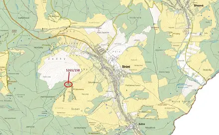 Dražba lesa 1 065 m², Strání