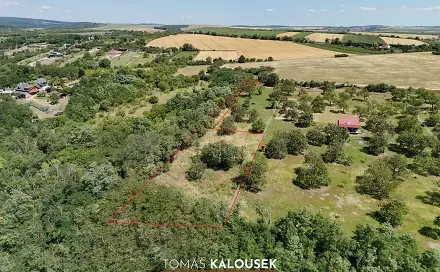 Prodej zahrady 2 371 m², Dolní Kounice, okres Brno-venkov