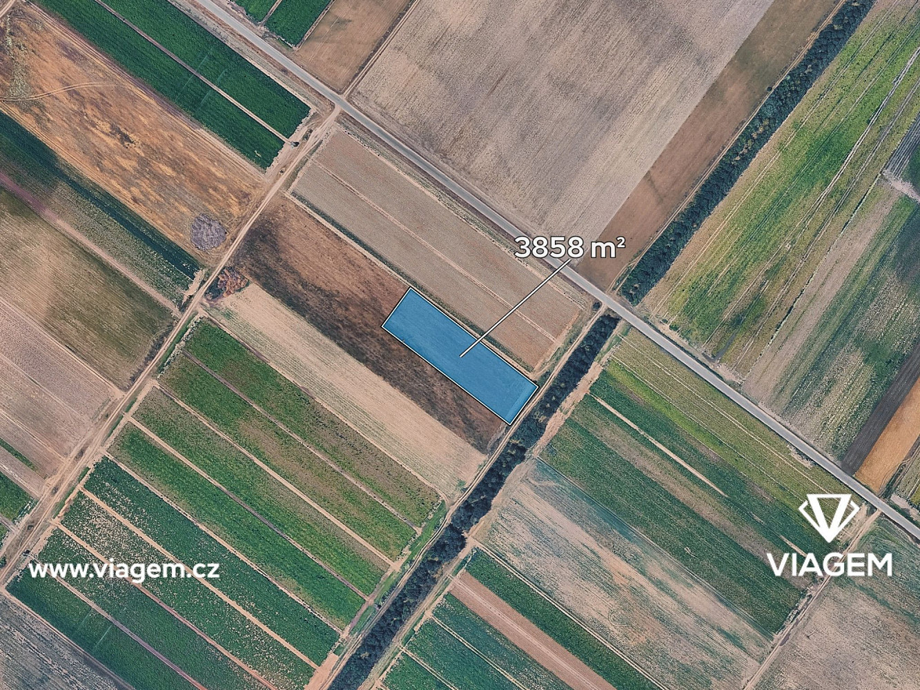 Prodej pole 3 858 m² – fotografie 2