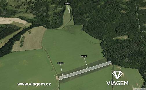 Prodej pole 1 387 m², Hostim, okres Znojmo