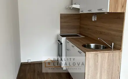 Pronájem bytu 2+kk 40 m², Pražská, Teplice