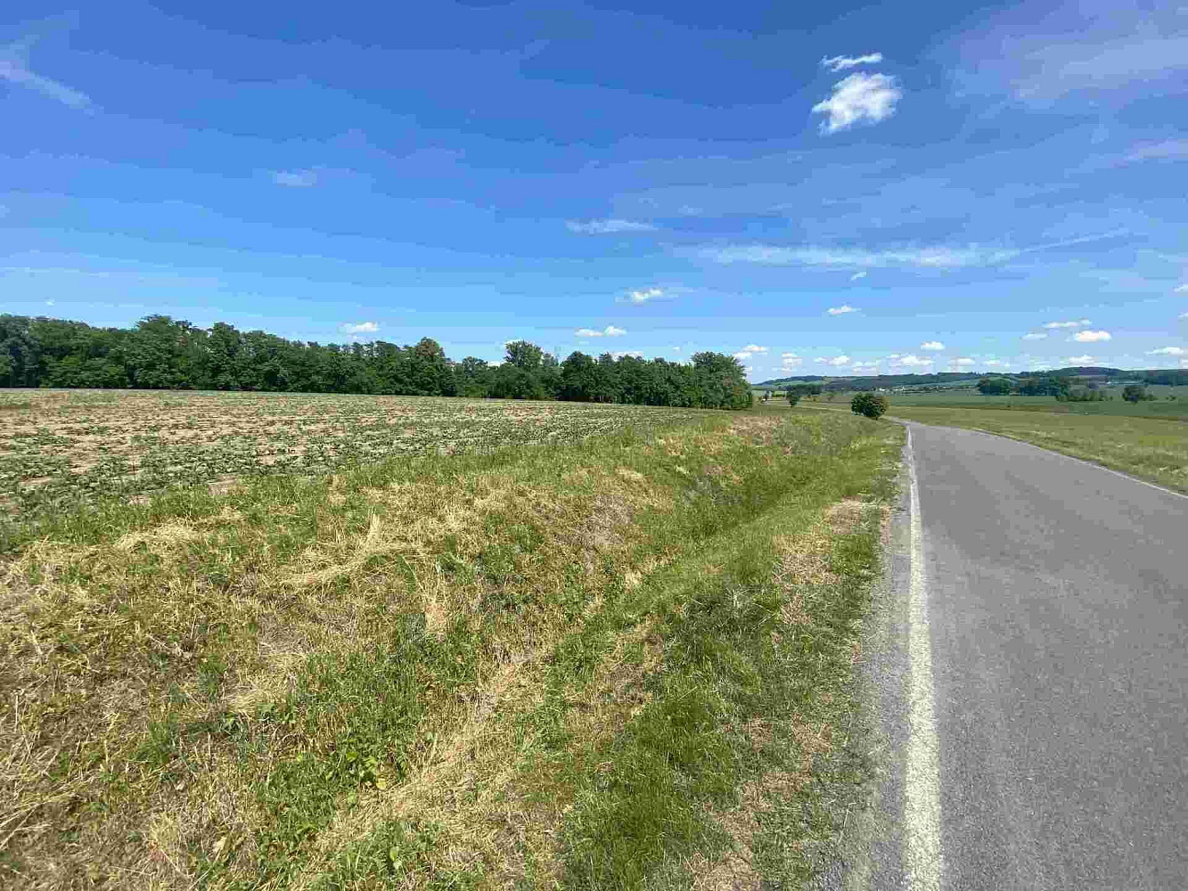 Prodej pozemku 1 696 m² – fotografie 2