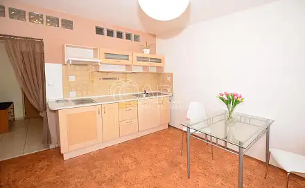 Pronájem bytu 1+1 39 m²