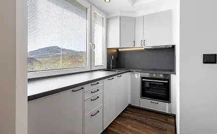 Prodej bytu 2+1 55 m²