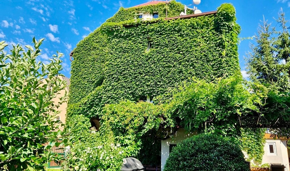 Prodej domu 176 m² s pozemkem 469 m², Dubí – náhled fotky 11