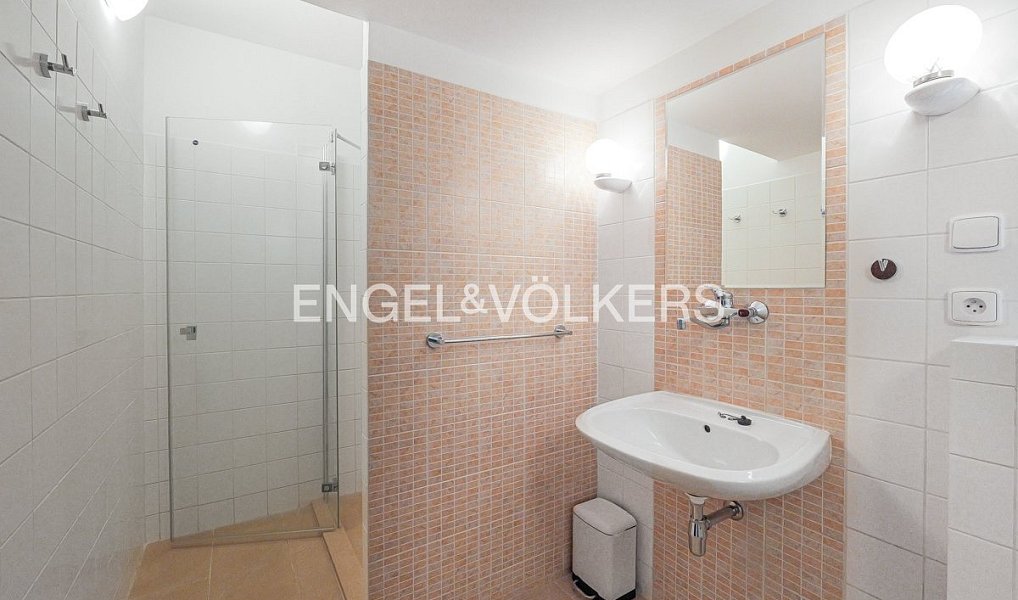 Pronájem domu 417 m² s pozemkem 1 000 m², Praha – náhled fotky 17