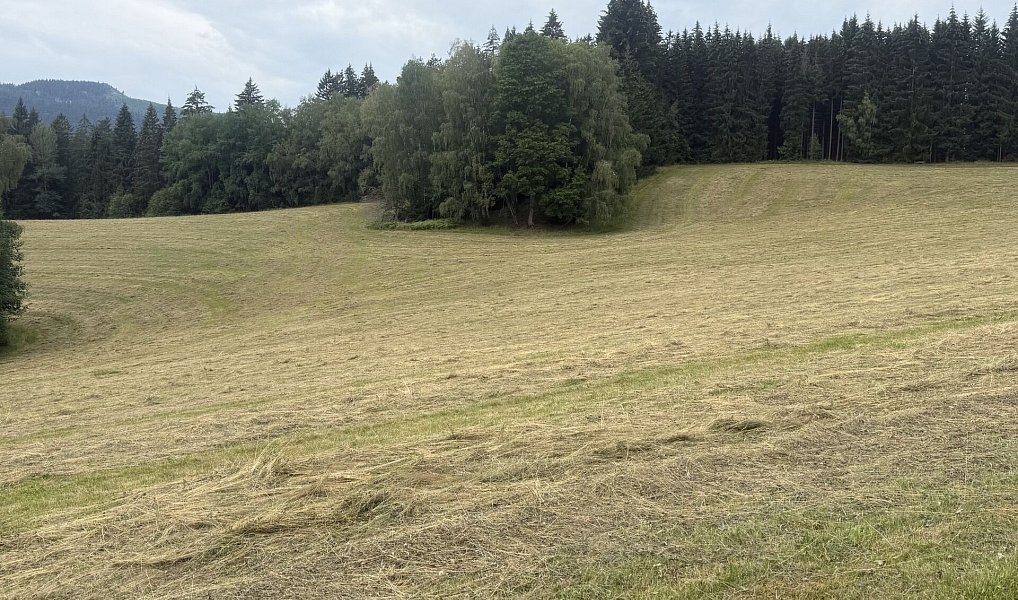 Prodej louky 84 928 m², Hamry – náhled fotky 10