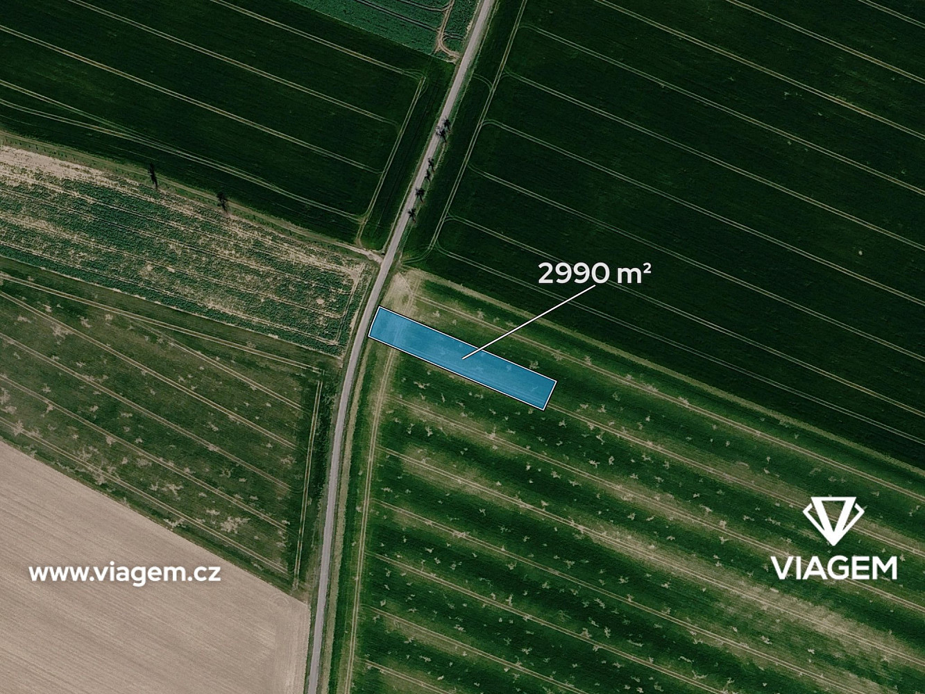 Prodej pole 2 990 m² — photo 2
