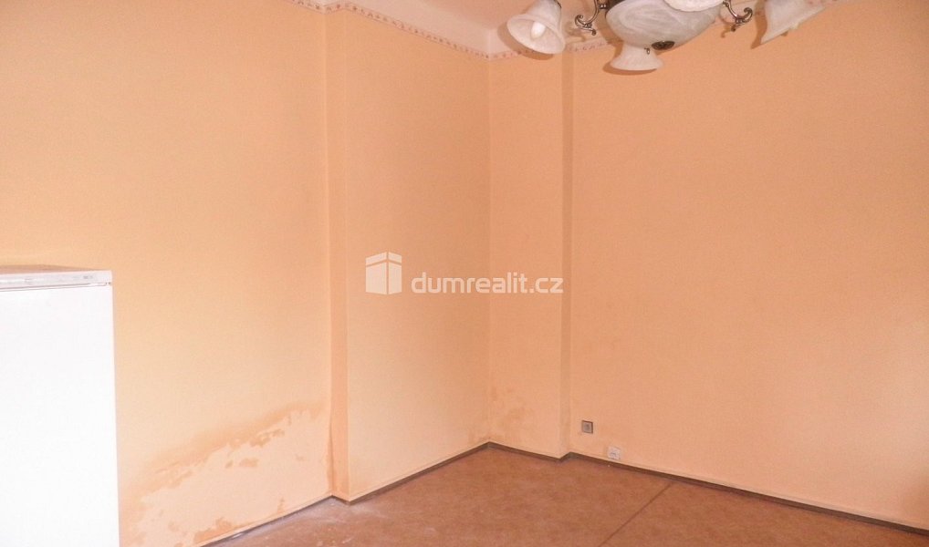 Pronájem bytu 1+kk 27 m², Praha – náhled fotky 2