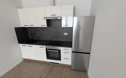 Pronájem bytu 2+kk 43 m², Františka Halase, Most