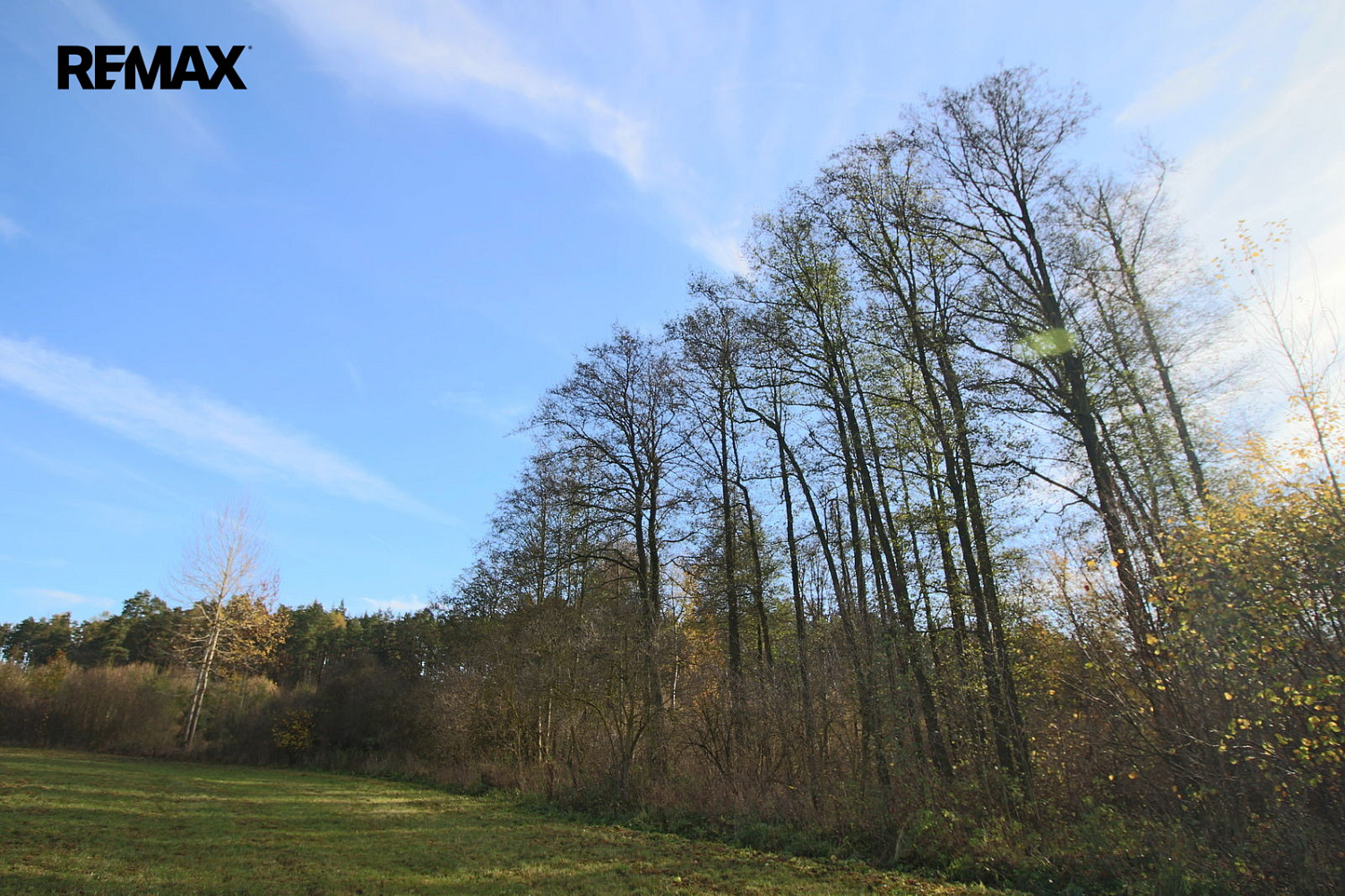 Prodej lesa 19 636 m² – fotografie 2
