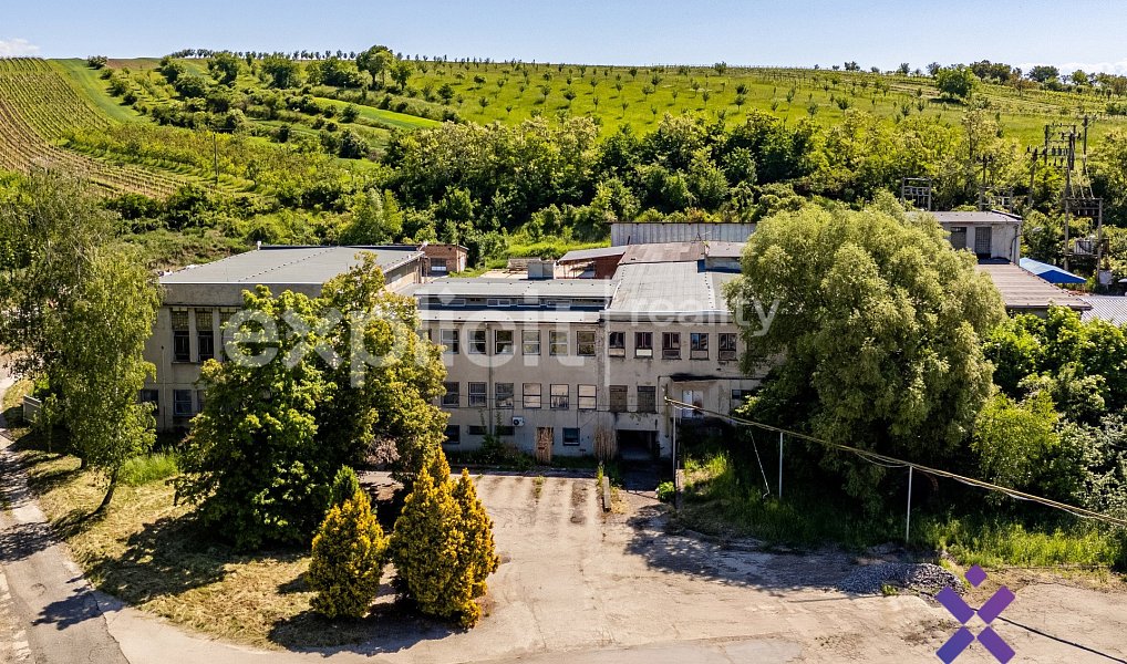 Prodej výrobních prostor 1 837 m², Šardice – náhled fotky 3