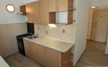 Prodej bytu 1+1 35 m², sídl. Svobody, Prostějov