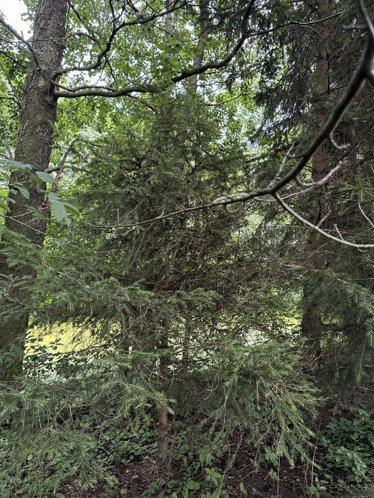 Prodej vodní plochy 604 m² — photo 4