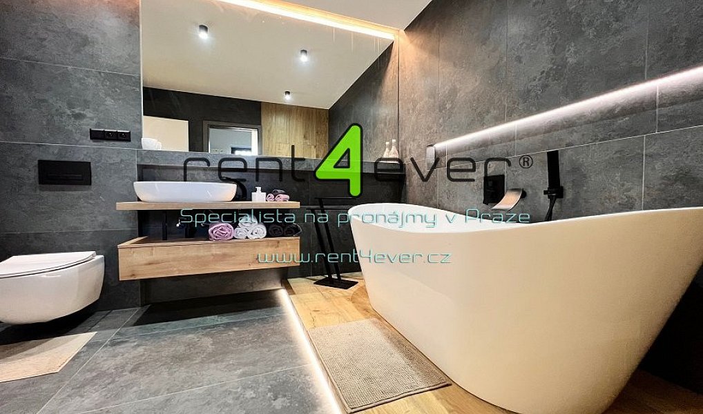 Pronájem domu 118 m² s pozemkem 521 m², Nová Ves pod Pleší – náhled fotky 10
