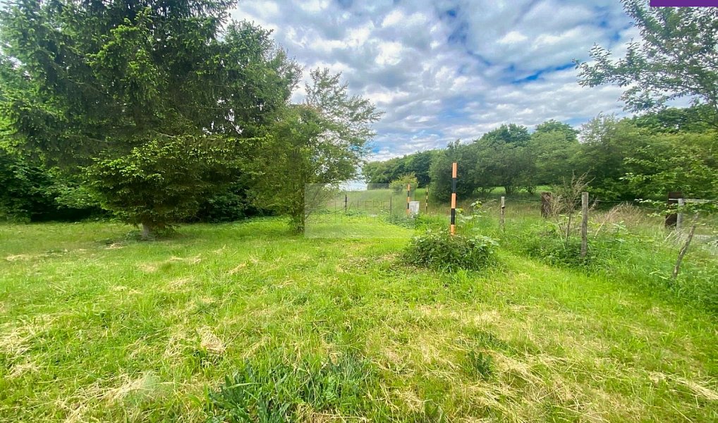 Prodej zahrady 4 026 m², Brandýs nad Labem-Stará Boleslav – náhled fotky 7