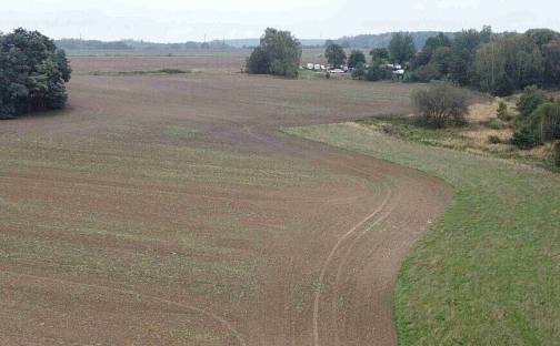 Prodej pozemku 15 764 m², Kostelec nad Černými lesy, okres Praha-východ