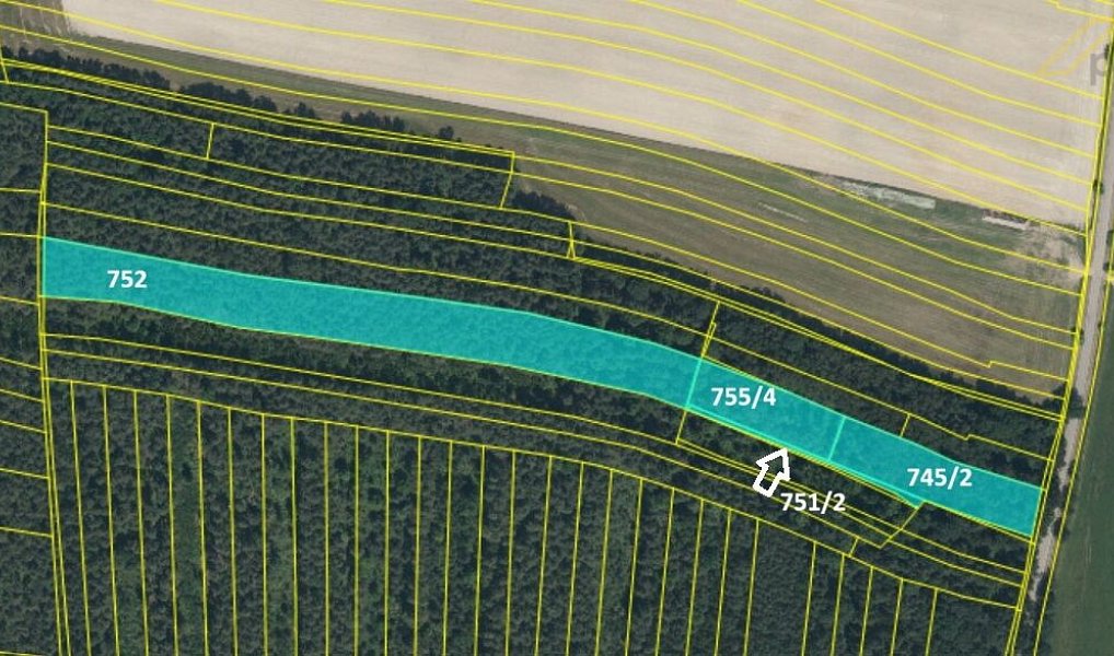 Prodej lesa 18 959 m², Jílovice – náhled fotky 2