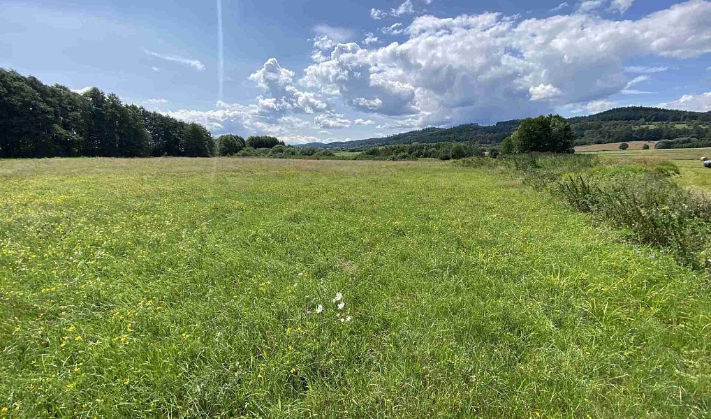 Prodej pole 55 481 m², Lhenice – náhled fotky 20