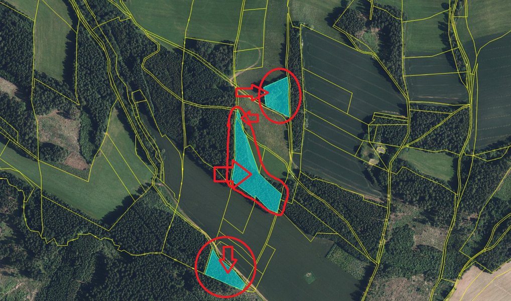 Prodej lesa 4 610 m², Stará Paka – náhled fotky 19