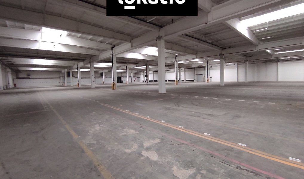 Pronájem skladovacích prostor 7 324 m², Nučice – náhled fotky 9