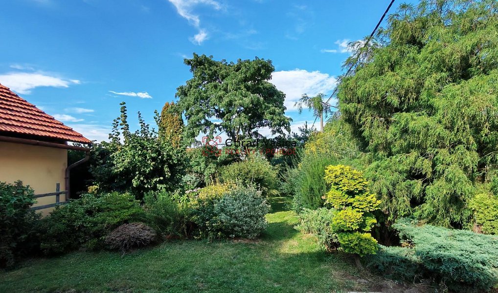 Prodej domu 200 m² s pozemkem 1 750 m², Vražné – náhled fotky 8