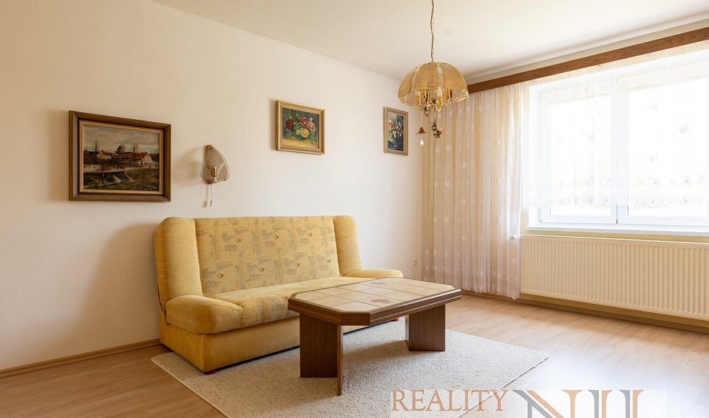 Prodej domu 225 m² s pozemkem 92 m², Plzeň – náhled fotky 14