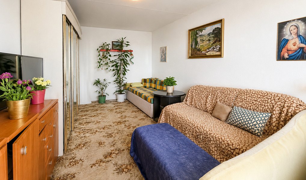 Prodej bytu 1+1 45 m², Brno – náhled fotky 4