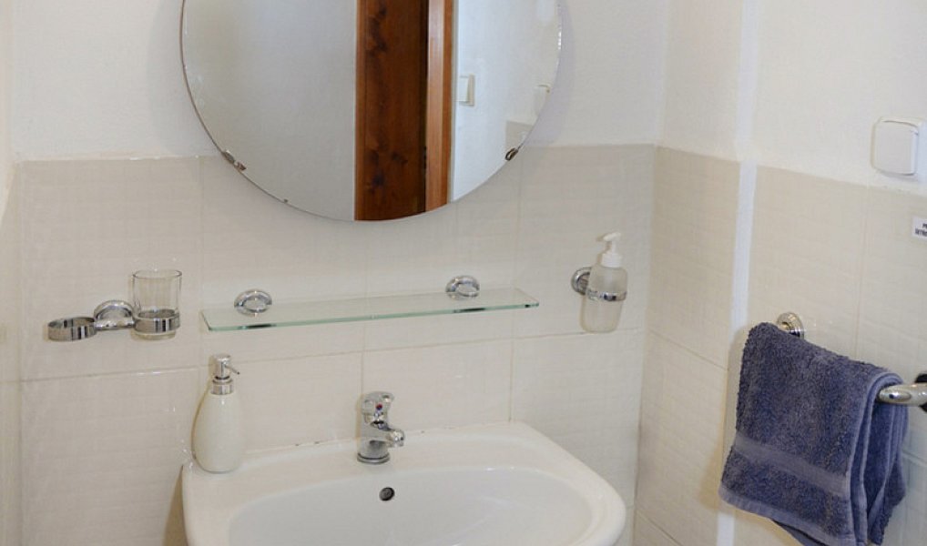 Prodej zemědělského objektu 726 m², Skrýchov u Malšic – náhled fotky 35