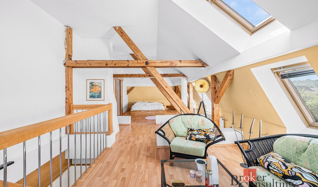 Prodej domu 250 m² s pozemkem 574 m², Plzeň – náhled fotky 17