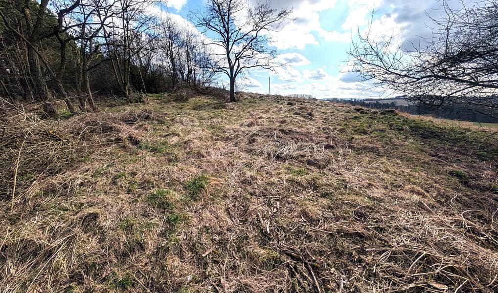 Prodej stavebního pozemku 898 m², Bušovice – náhled fotky 4