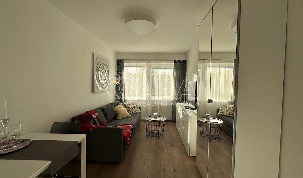Pronájem bytu 1+kk 23 m², Praha – náhled fotky 2