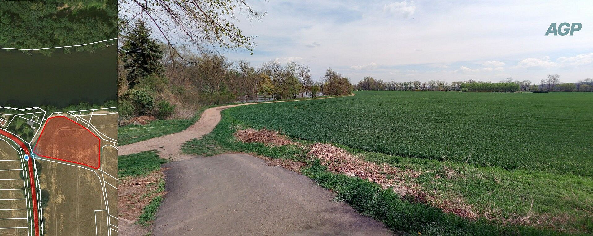 Prodej pole 3 765 m² – fotografie 5