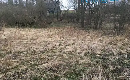 Prodej louky 2 968 m², Dobřejovice