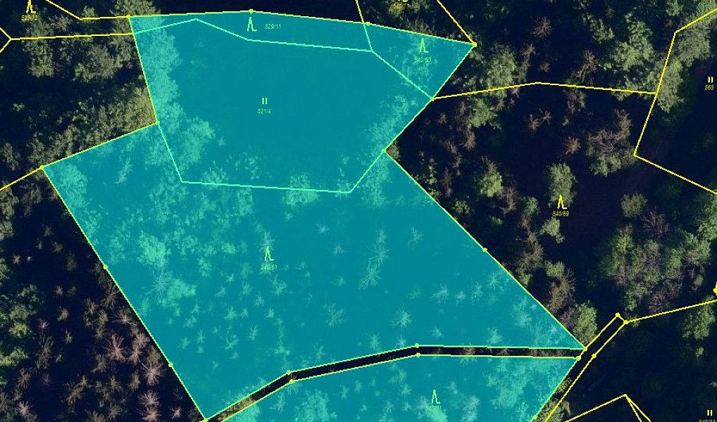 Prodej lesa 14 492 m², Morávka – náhled fotky 3