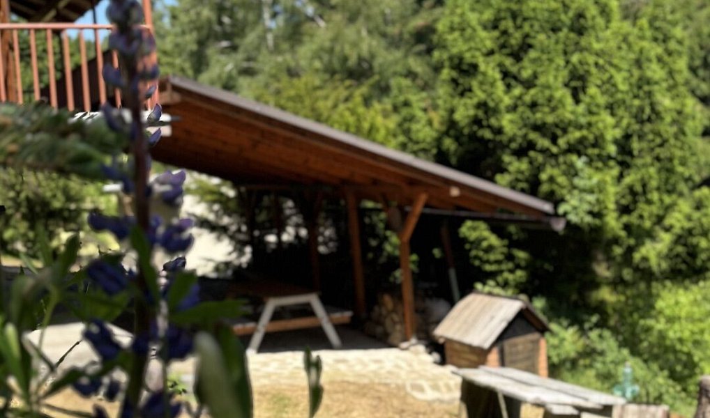 Prodej chaty/chalupy 68 m² s pozemkem 420 m², Olšany – náhled fotky 13