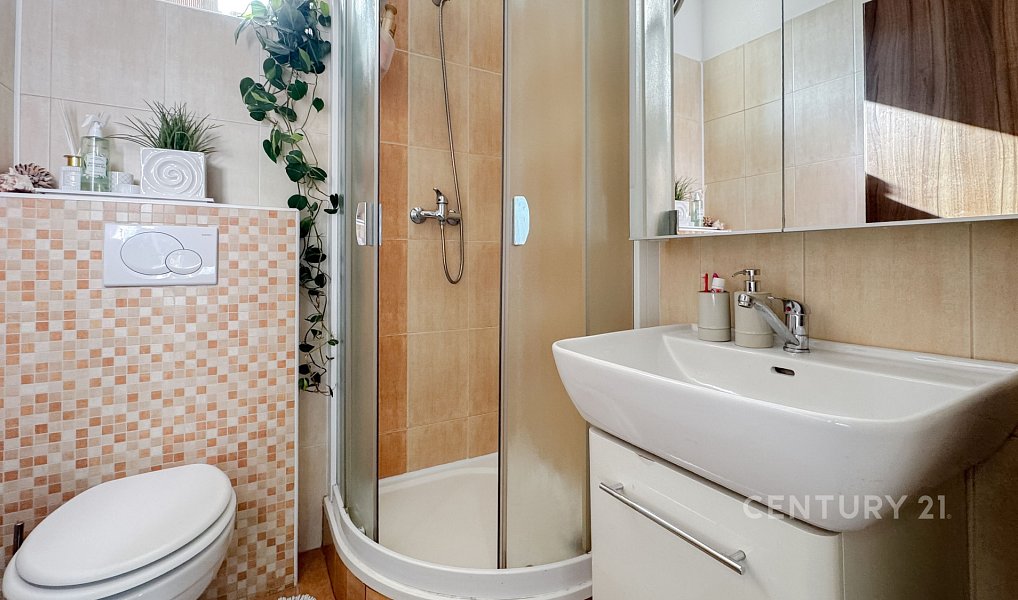 Prodej domu 216 m² s pozemkem 192 m², Znojmo – náhled fotky 9