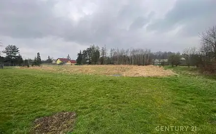Prodej stavebního pozemku 3 842 m², Dětmarovice, okres Karviná