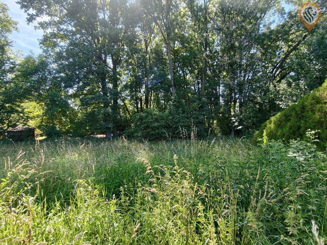 Fotka 11 z 19