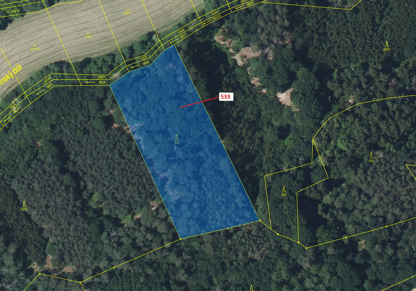 Dražba lesa 6 701 m² — photo 2