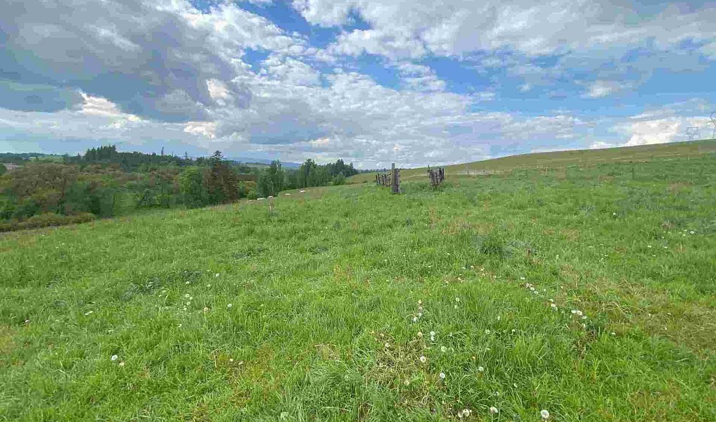 Prodej pozemku 7 130 m², Břidličná – náhled fotky 11