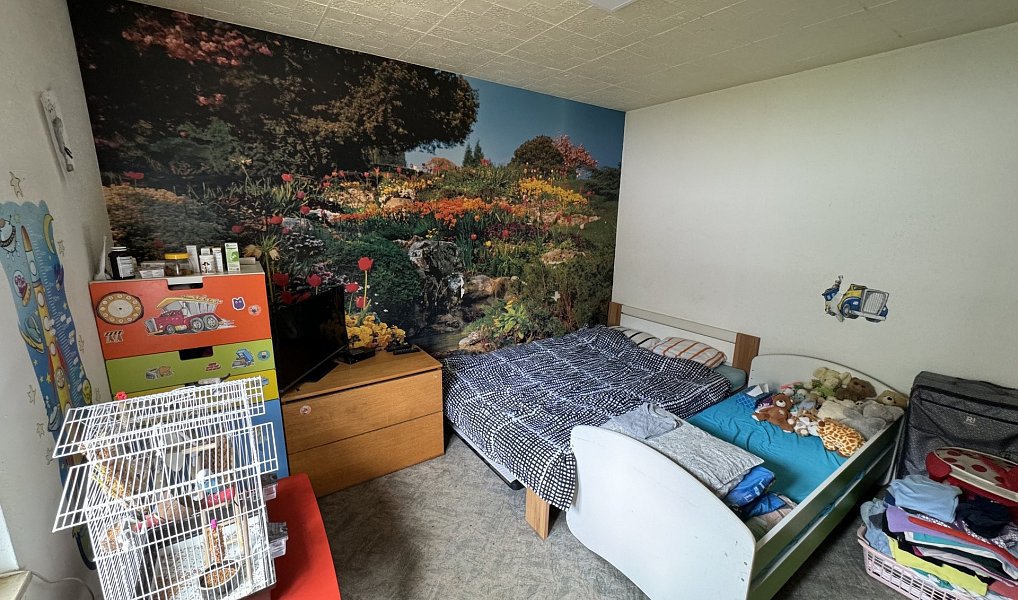 Prodej domu 85 m² s pozemkem 1 467 m², Vlastějovice – náhled fotky 10