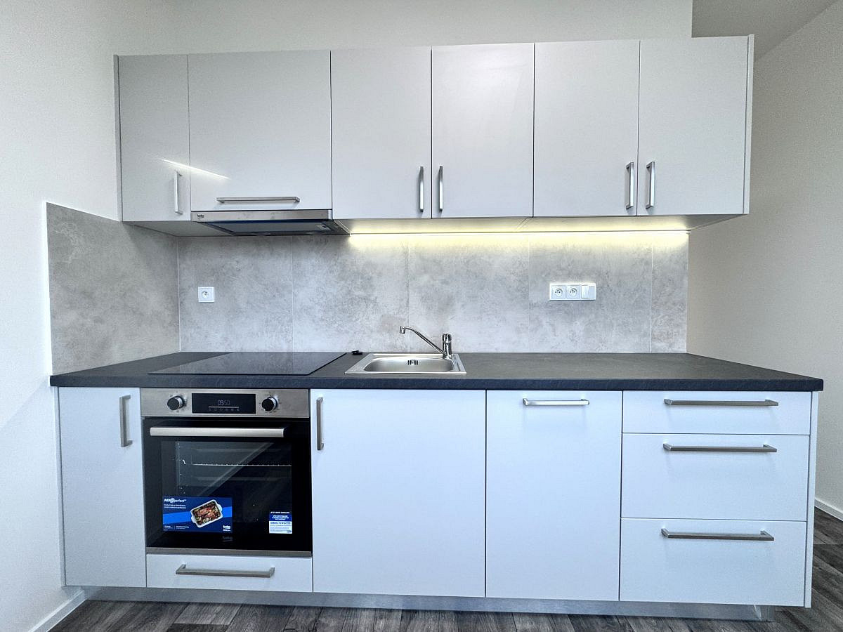 1 kambarių butas, 55 m²